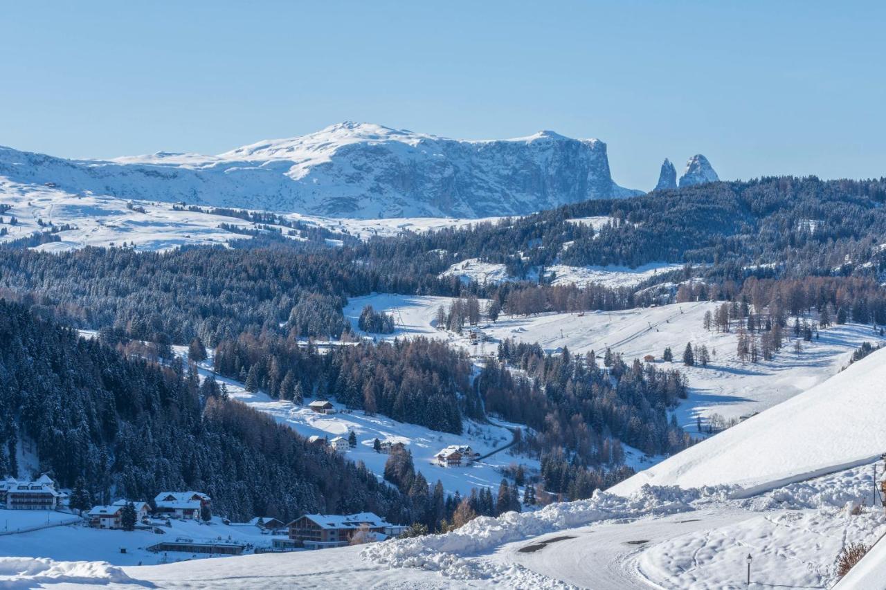 Villa Solinda App Rossini Selva di Val Gardena Exterior photo